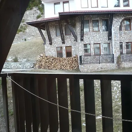 Snezhanka * بامبوروفو