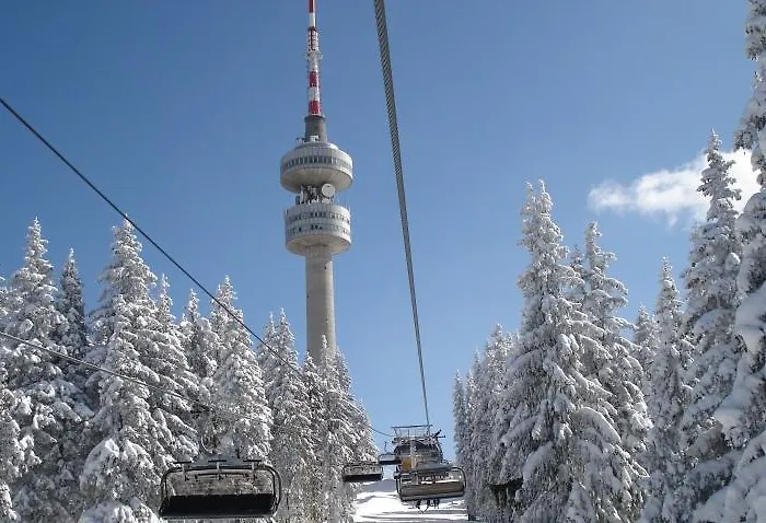 Apartament Snezhanka *