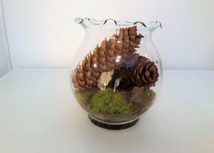 Snezhanka * Pamporovo